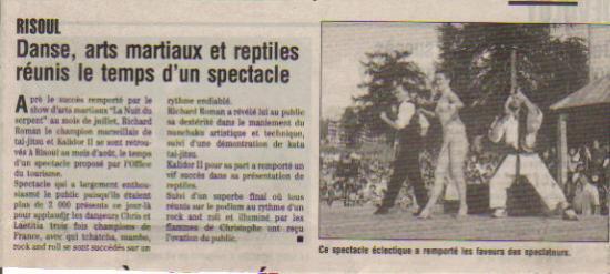 RISOUL-ARTISTIQUE-SHOW-4.jpg